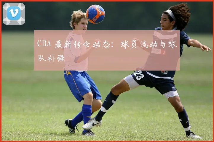 CBA 最新转会动态：球员流动与球队补强